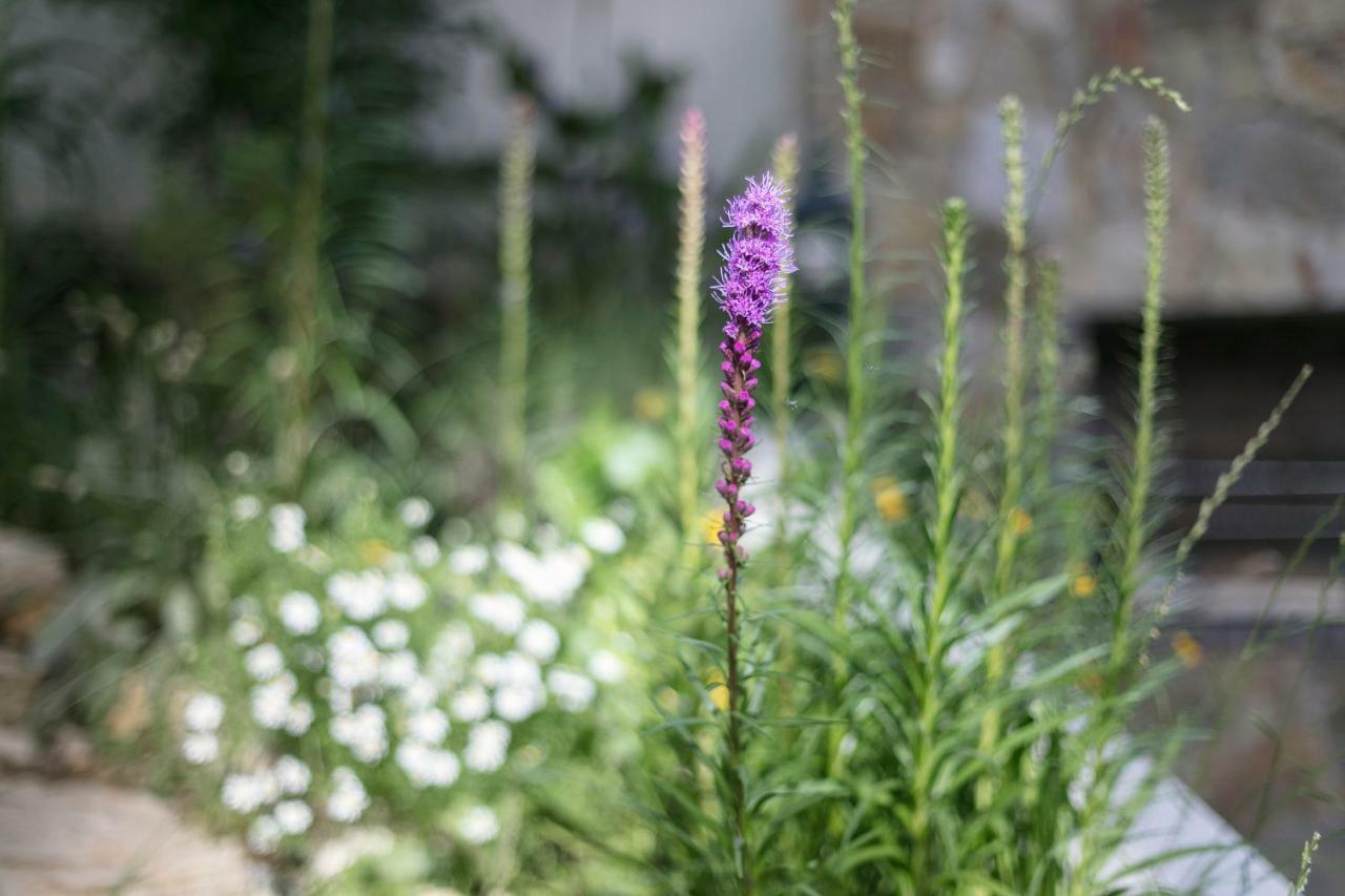 Fragrant Garden Apartment 리스본 외부 사진